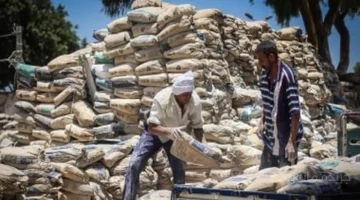 مؤشر سعر الأسمنت يتحرك من جديد.. تحديث اليوم يحدد تكلفة البناء 1